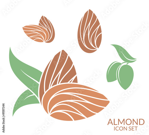 Almond. Icon set. Isolated fruit on white background