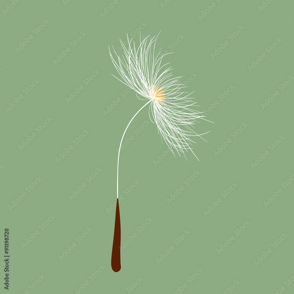 Obraz premium Dandelion seed