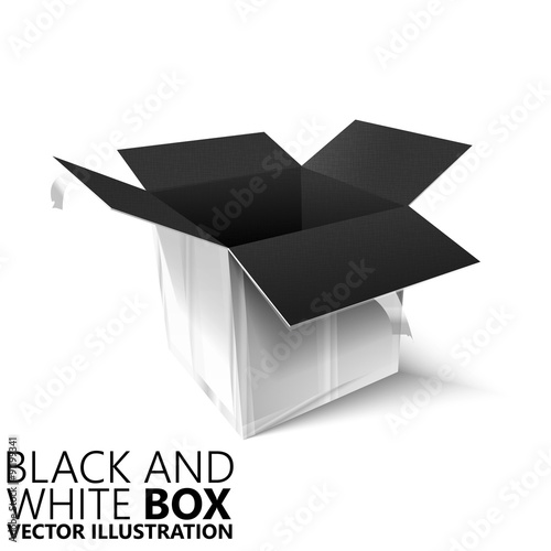 Black and white open box 3D/ vector illustration, design element