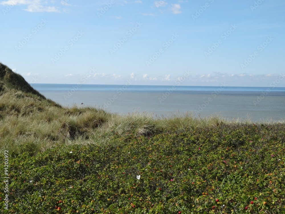 Beach / Coast of Sylt in the North Sea