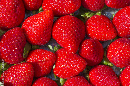 red and juicy ripe red strawberries