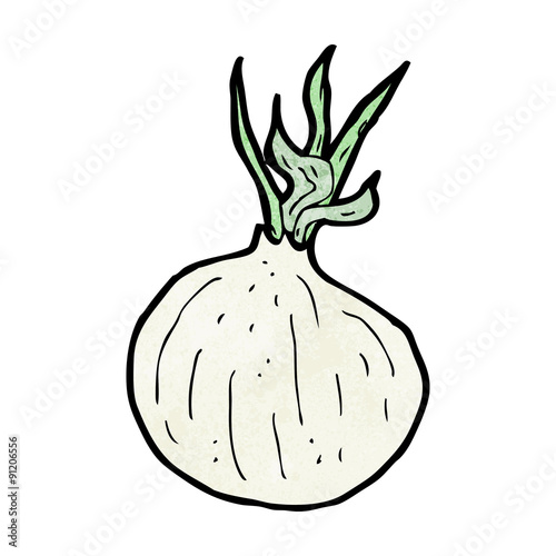 cartoon onion