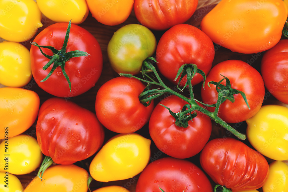 Ripe colorful organic tomatoes