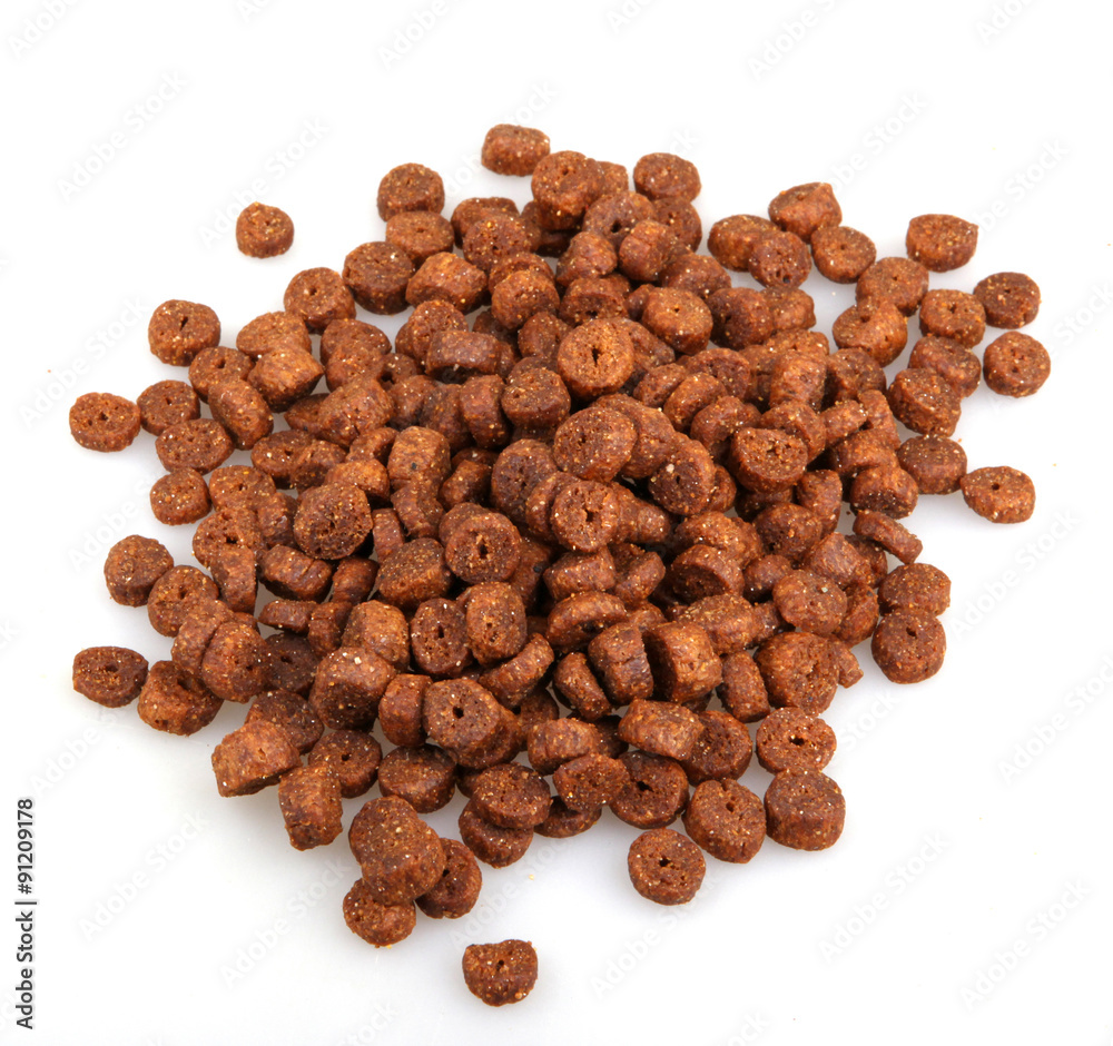 Fotografie pet food isolated on white