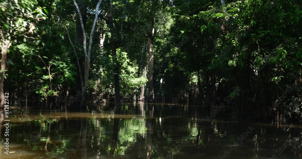 Travel in the Amazon River, Brazil, South America Travel in the Amazon River, Brazil, South America