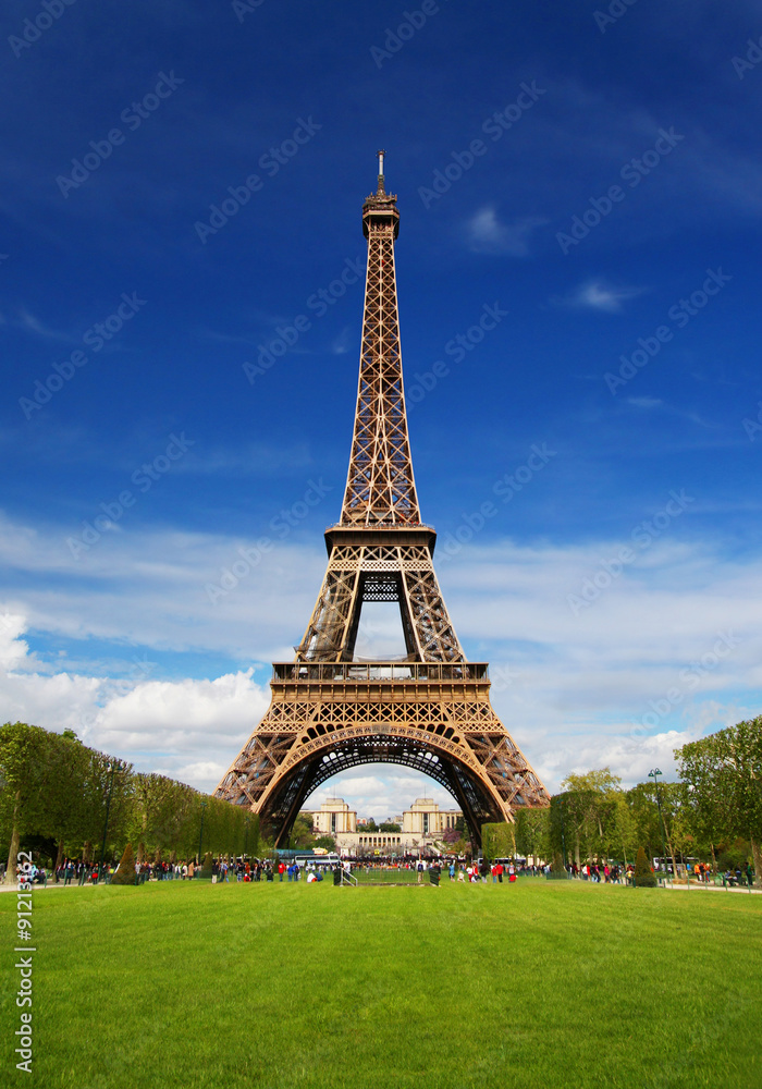 Fototapeta premium The Eiffel Tower in Paris