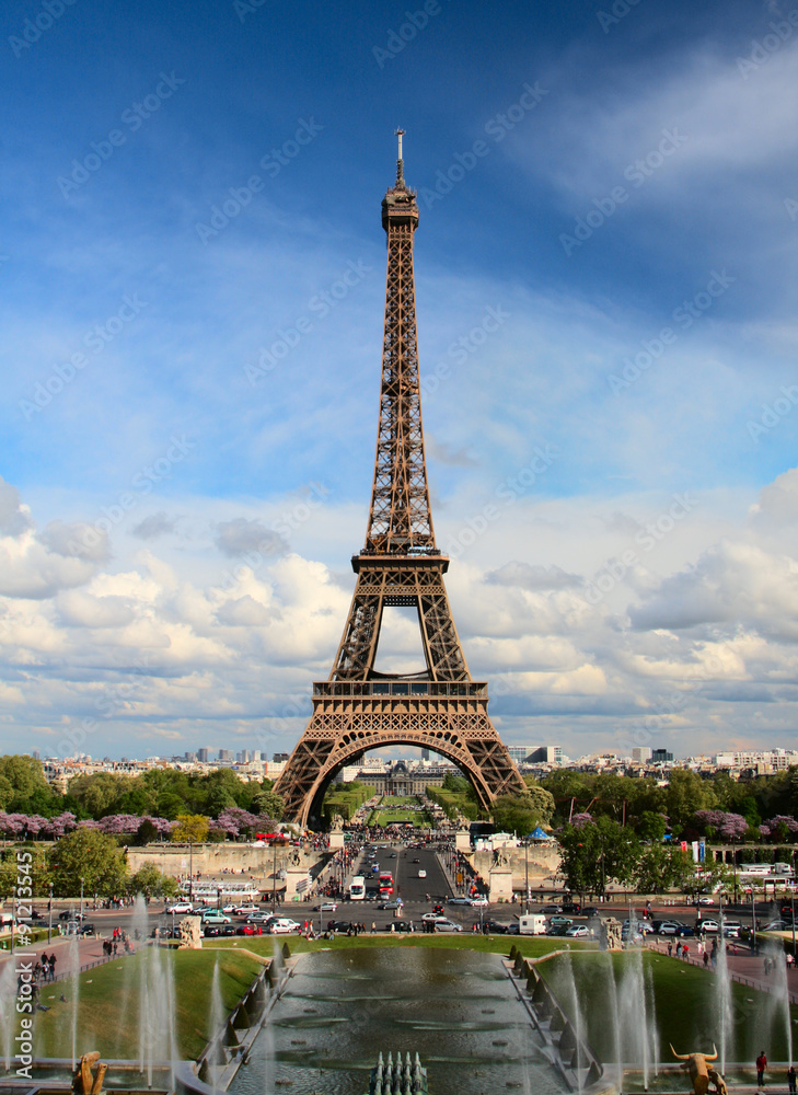Fototapeta premium The Eiffel Tower in Paris