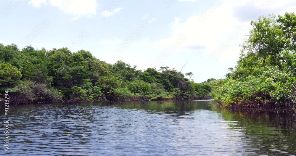 Travel in the Amazon River, Brazil, South America Travel in the Amazon River, Brazil, South America