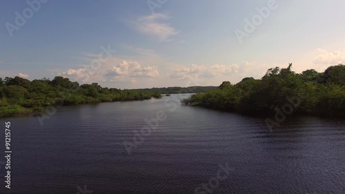 Fly in Amazon River, Brazil photo