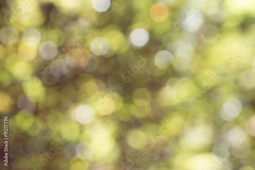 Abstract nature soft focus background with beautiful bokeh. Blurred green background