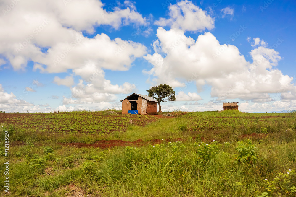 Rural landscape in Tanzania