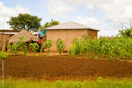 Rural landscape in Tanzania photo