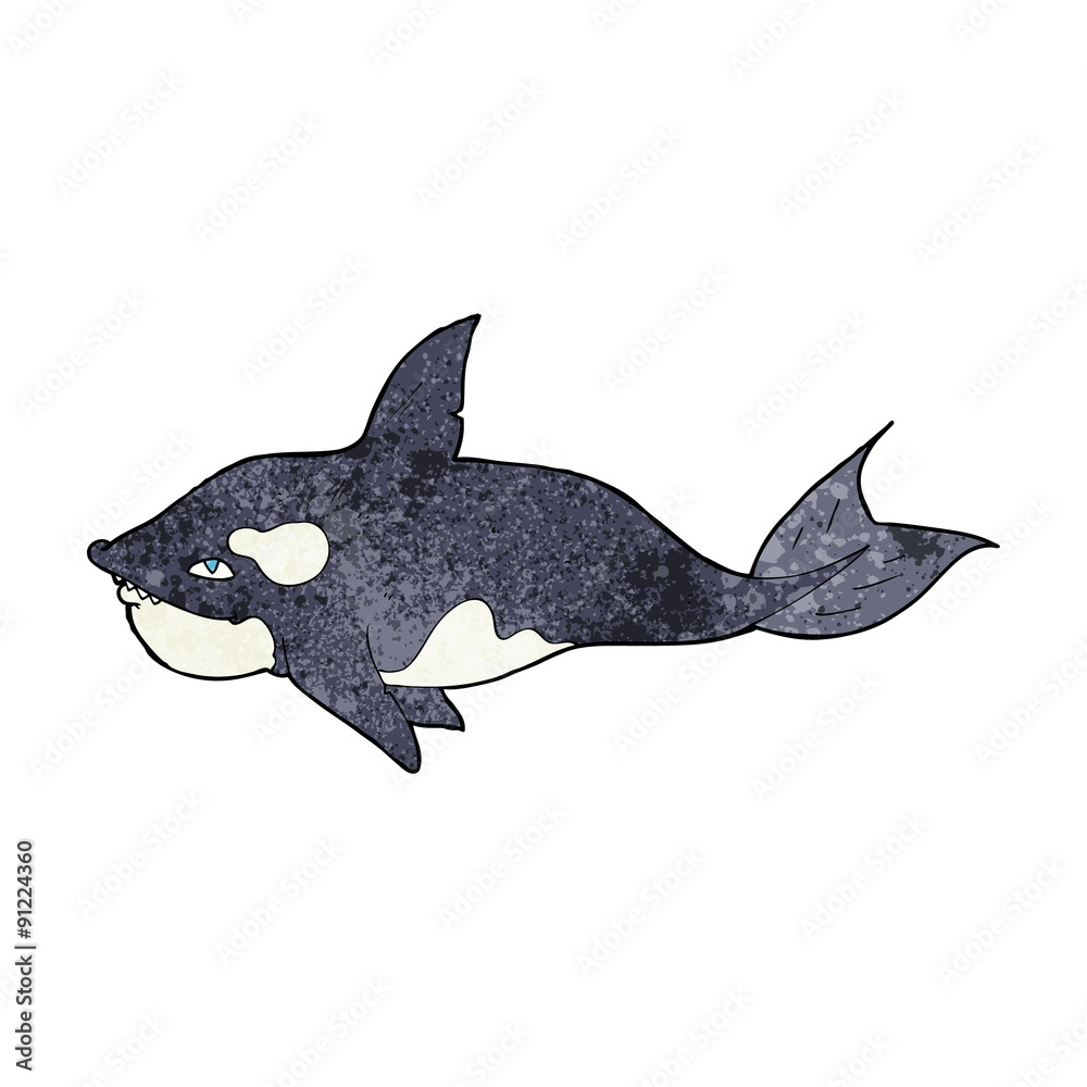 Fototapeta premium cartoon killer whale