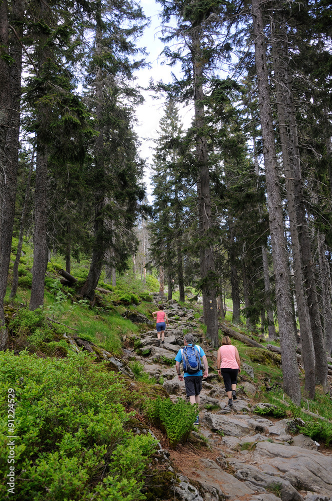 Bayerischer Wald - Wandern