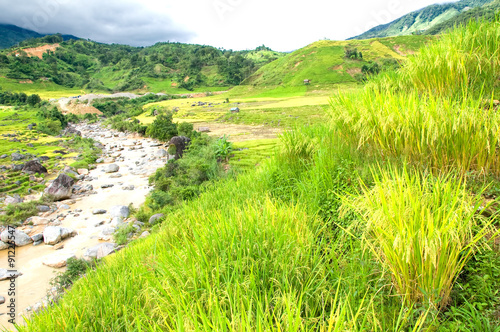 Rice terraces in the middle of Vietnam, Ngoc Linh, Kontum province. The village is in a valley among the rice terraces.  photo