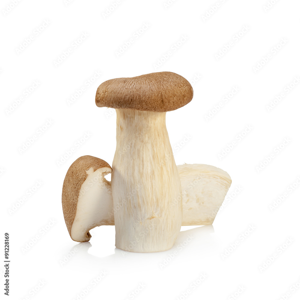 King Oyster mushroom (Eringi) isolated on white backgroud