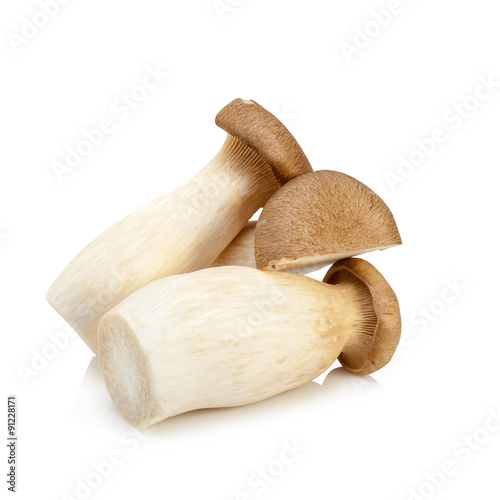 King Oyster mushroom (Eringi) isolated on white backgroud