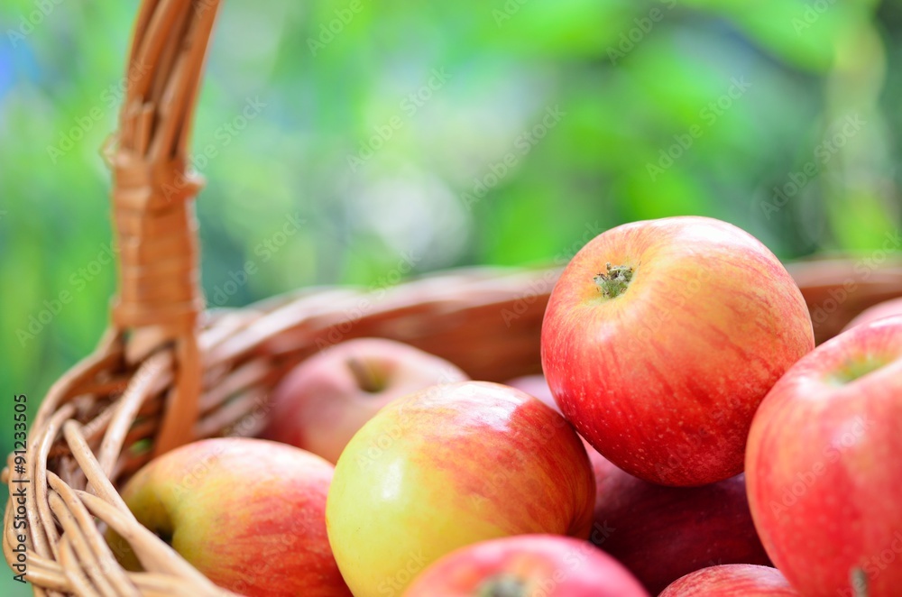 Apples Apples