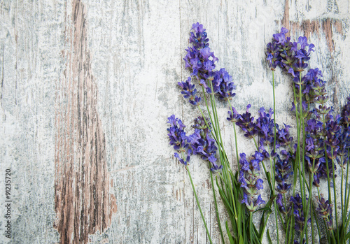 lavender flowers