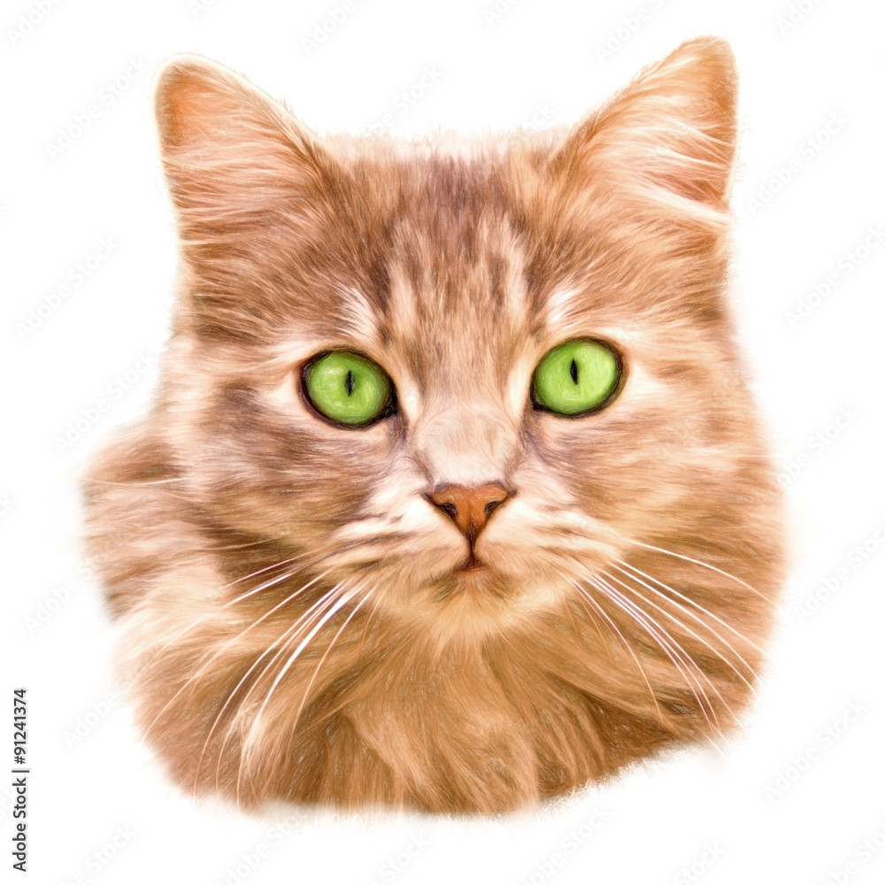 green eyed cat  - illustration based on own photo image