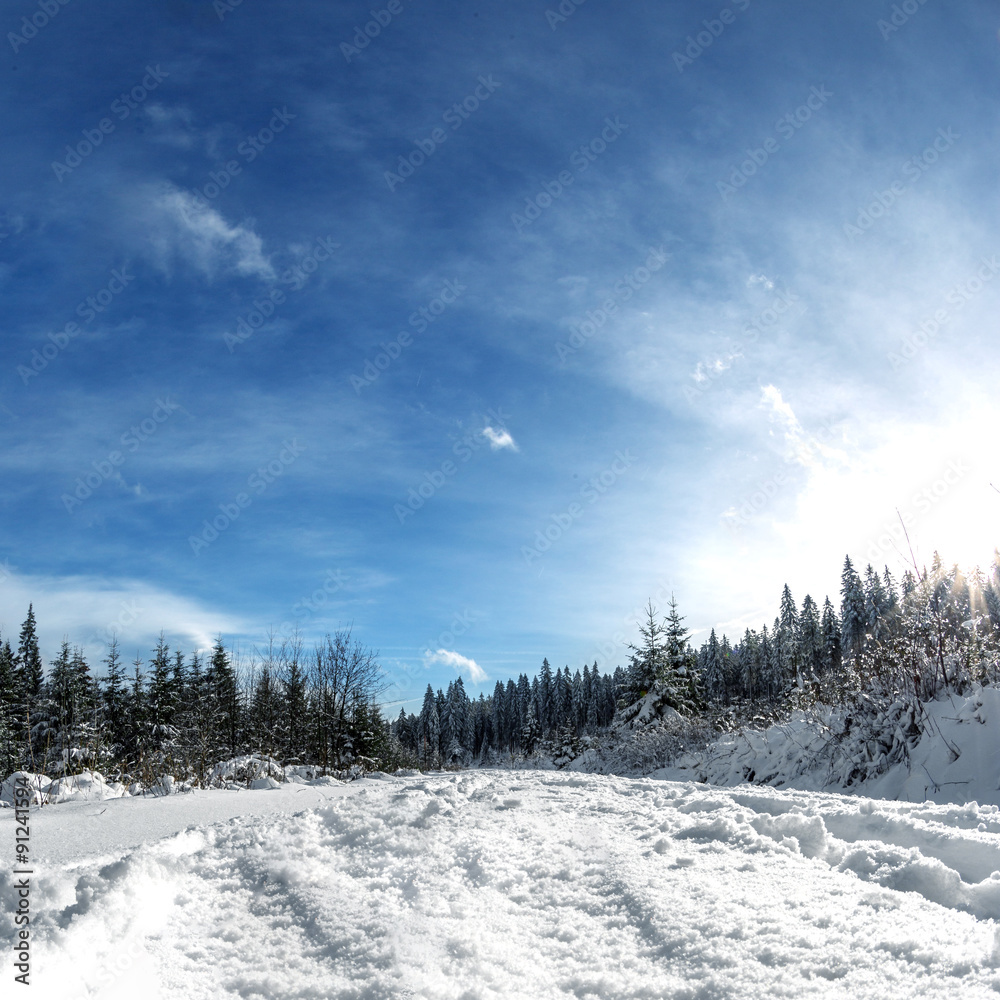 Winterlandscape in Bavaria