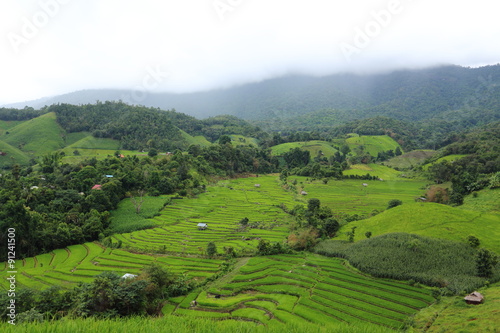 Rice terraces in Mae Chaem at Thailand