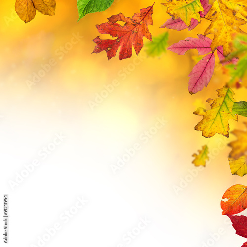 Colorful autumnal background with leaves