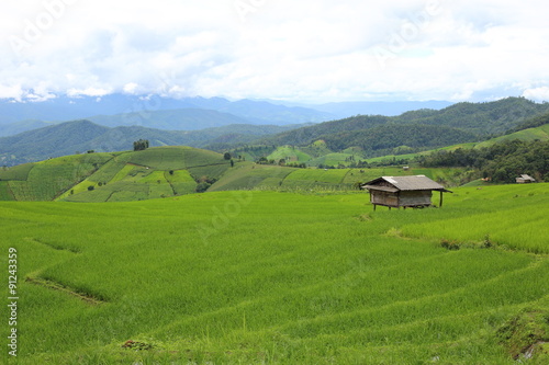 Rice terraces in Mae Chaem at Thailand