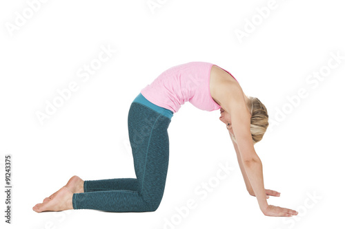 Yoga_cat_Majariasana photo