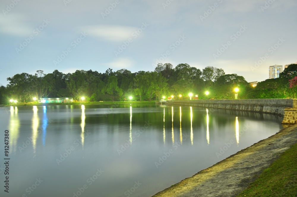Fototapeta premium Macritchie reservoir by night with trees, lamps, and light reflection on the water
