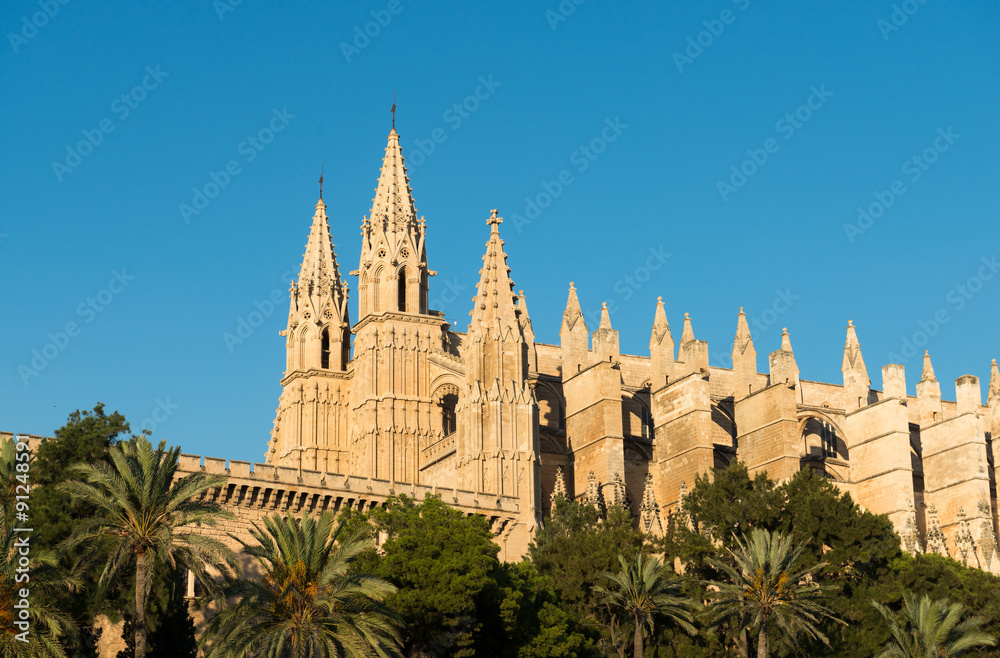 View on the Roman Catholic Cathedral (La Seu) in Palma de Mallorca, Spain