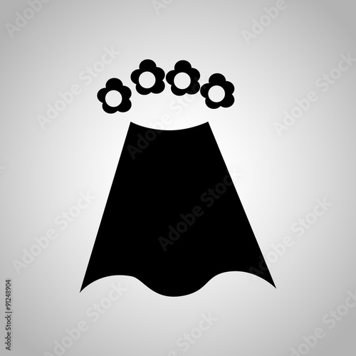 Wedding veil icon