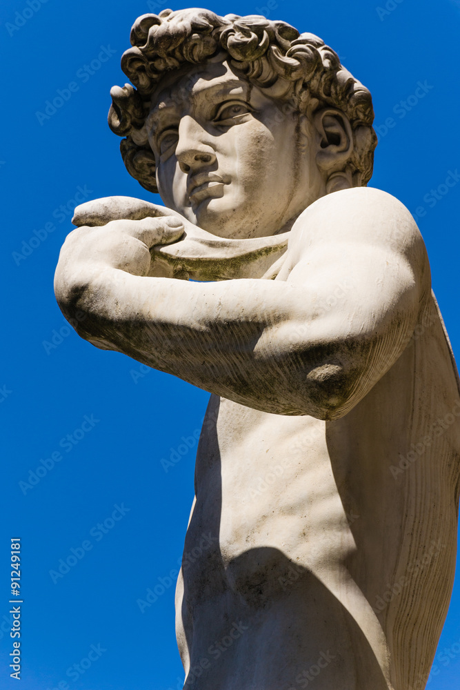 Fototapeta premium Michelangelo's David - Florence - Italy