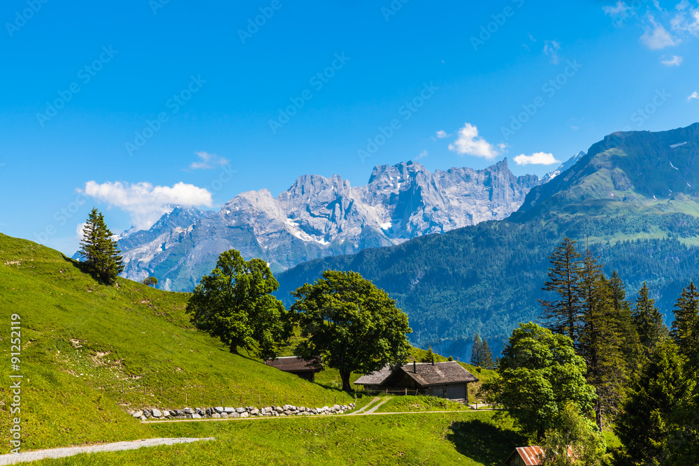 On the hiking path on Bernese Oberland On the hiking path on Bernese Oberland