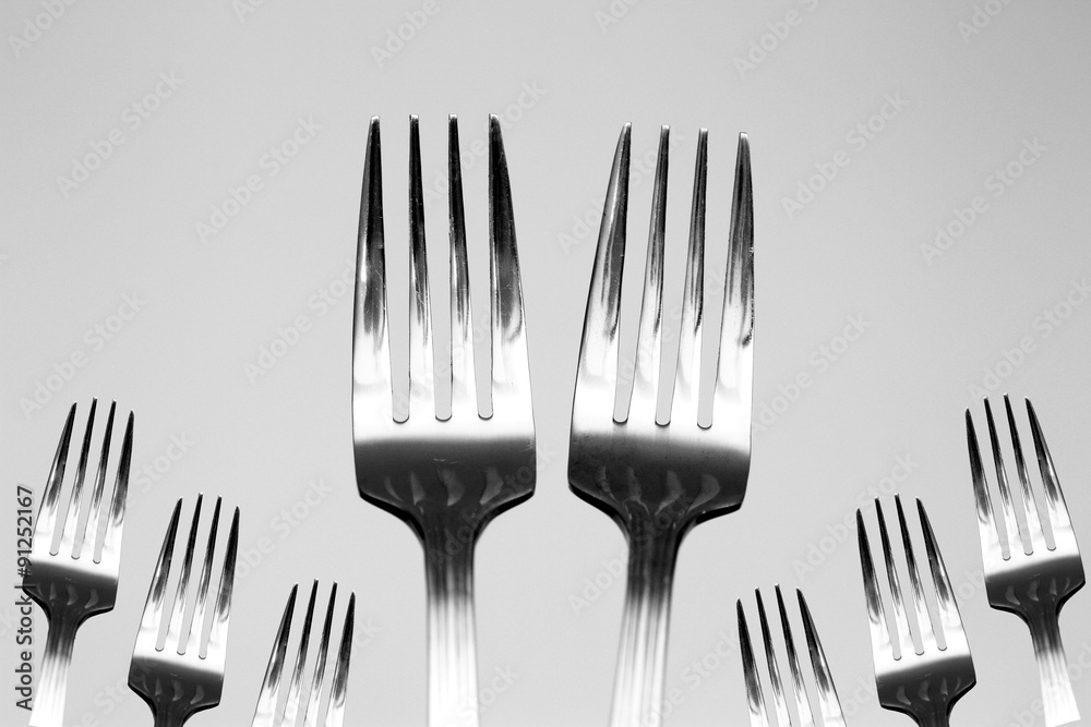 big forks and small forks big forks and small forks