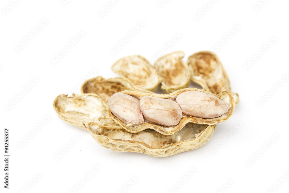 Obraz premium ฺBoiled groundnuts isolated on white background