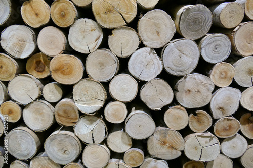 log surface for background texture
