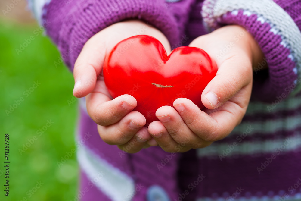 Child's hands holding a heart shaped tomato. Child's hands holding a heart shaped tomato.