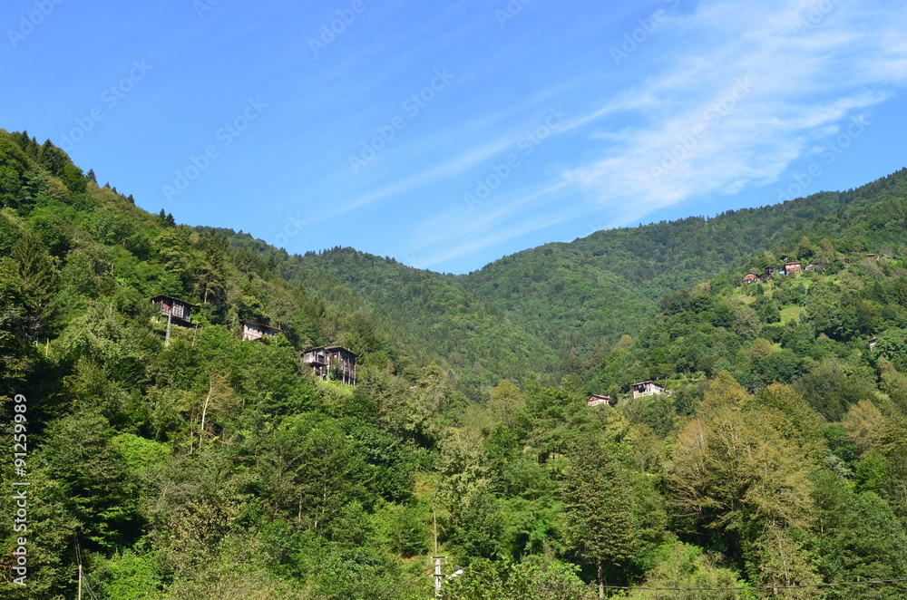 bergwälder im pontischen gebirge senyuva camlihemsin