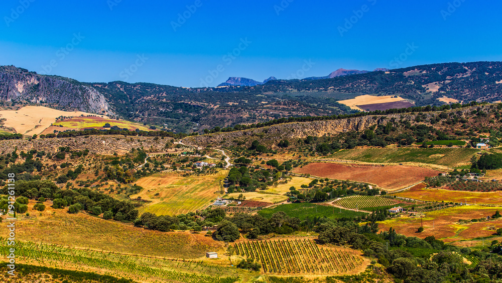 Landscape in rural,  Andalusia, Spain.