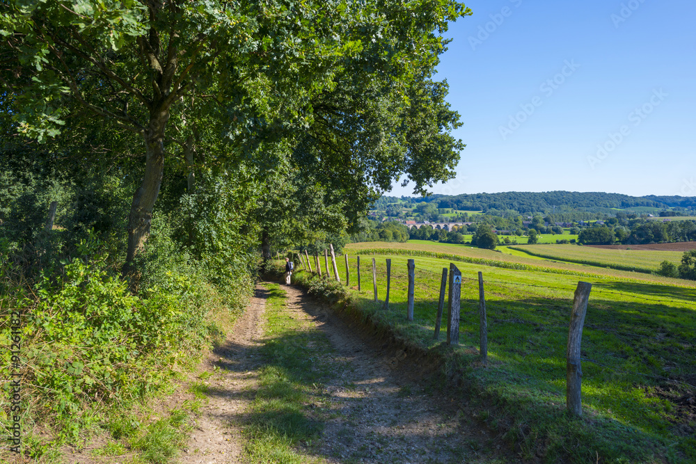 Path along fields and trees in summer Path along fields and trees in summer