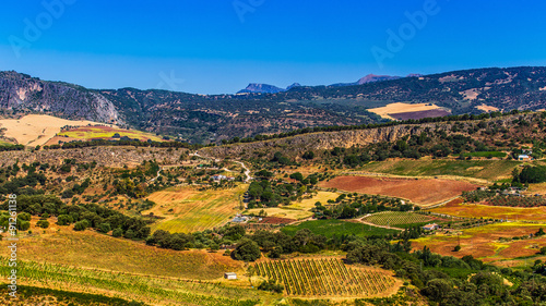 Landscape in rural, Andalusia, Spain.
