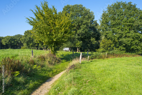 Path along fields and trees in summer