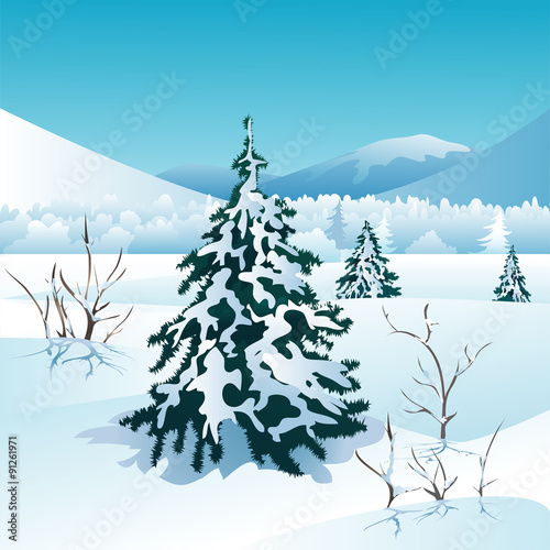 Winter landscape