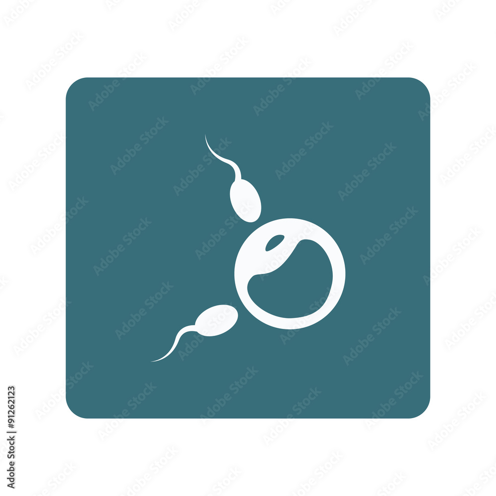 Fototapeta premium Egg and sperm icon