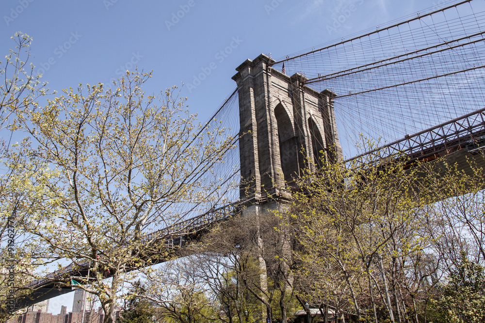 Fototapeta premium Brooklyn Bridge in New York mit Bäumen