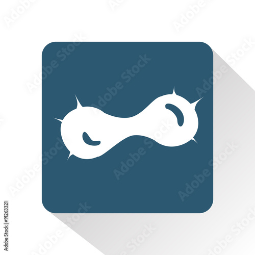 Mitosis icon