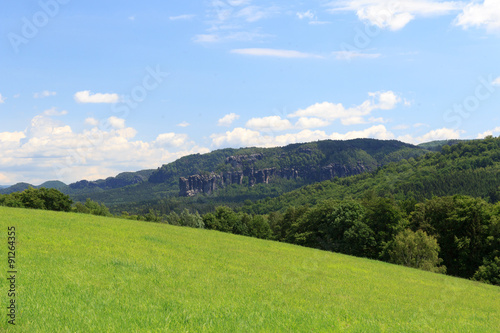 Group of rocks Affensteine with meadow and blue sky in Saxon Switzerland