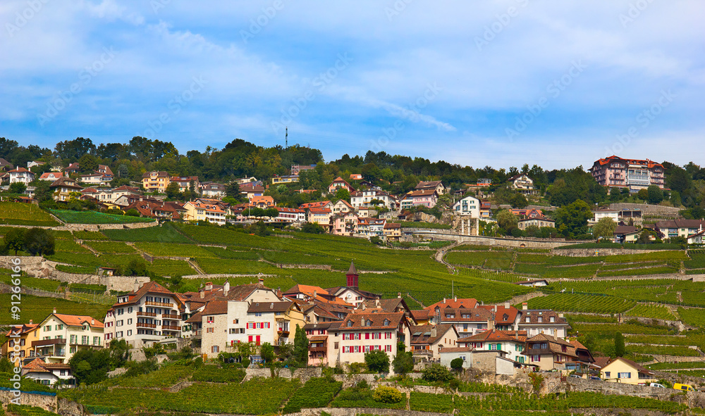Lavaux region