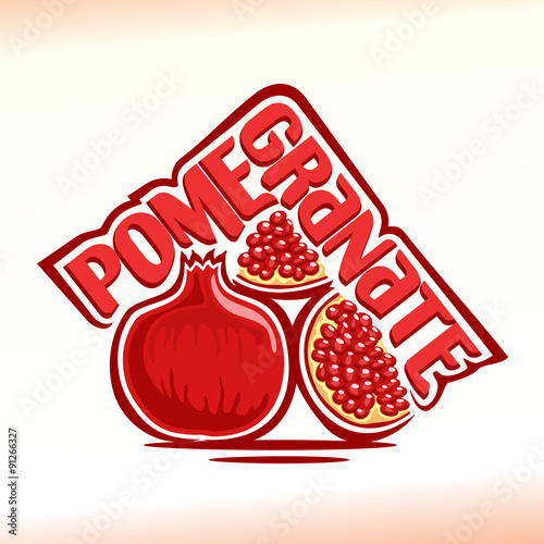 Vector illustration on the theme of pomegranate